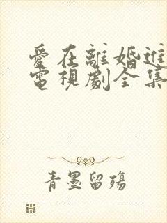 爱在离婚进行时电视剧全集免费观看