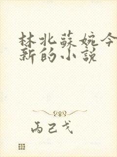 林北苏婉今日更新的小说