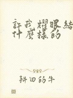 许我耀眼结局是什么样的