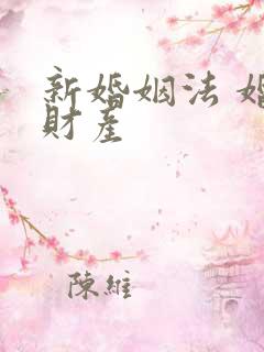 新婚姻法 婚前财产