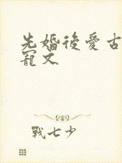 先婚后爱古言甜宠文