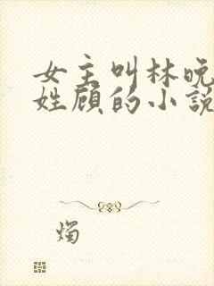 女主叫林晚男主姓顾的小说