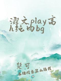 涩文play高h纯肉bg