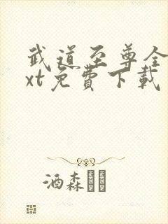 武道至尊全本txt免费下载