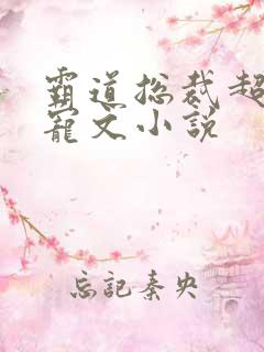 霸道总裁超甜肉宠文小说