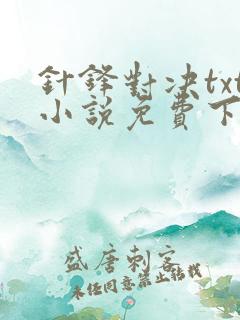 针锋对决txt小说免费下载