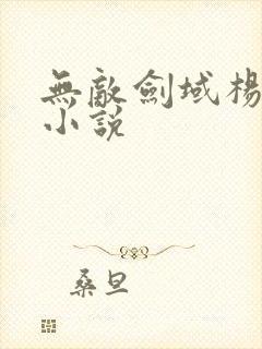 无敌剑域杨叶 小说