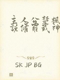 主人公楚枫的小说修罗武神