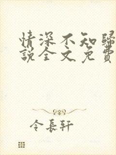 情深不知归处小说全文免费阅读