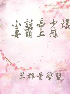 小说帝少爆宠娇妻霸上瘾