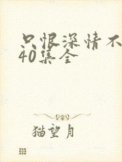 只恨深情不识鸢40集全