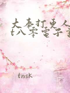 大奉打更人txt八零电子书