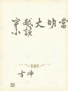 穿越大明当崇祯小说