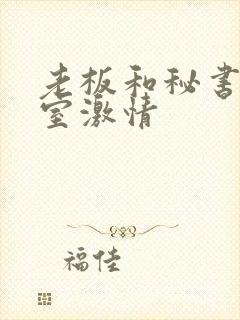 老板和秘书办公室激情