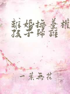 离婚抚养权官司孩子归谁