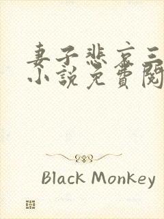 妻子悲哀三部曲小说免费阅读