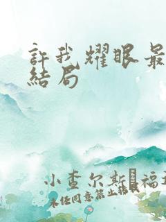 许我耀眼最后的结局