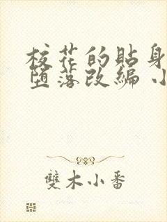 校花的贴身高手堕落改编 小说