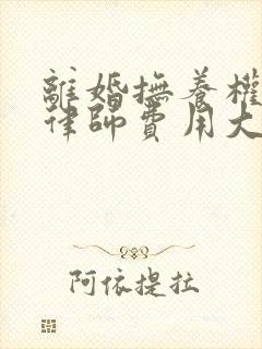 离婚抚养权起诉律师费用大概要多少