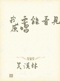 我要能看见歌曲原唱