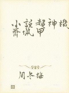 小说超神机械师齐佩甲