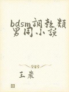 bdsm调教类男同小说