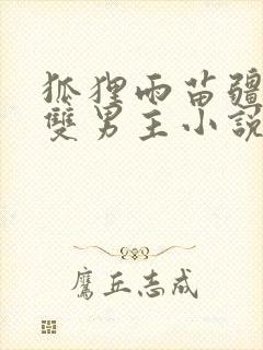 狐狸雨苗疆圣子双男主小说