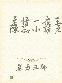 柔情一夜王小俊陈蕊小说免费阅读长