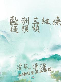 欧洲三级操美女逼视频