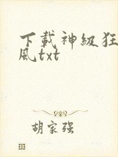 下载神级狂婿岳风txt