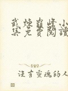 武炼巅峰小说全集免费阅读