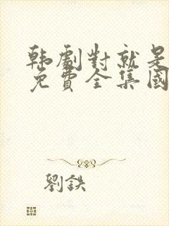 韩剧对就是那样免费全集国语版