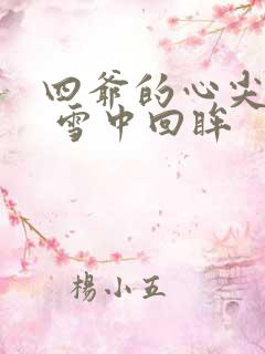 四爷的心尖宠妃 雪中回眸