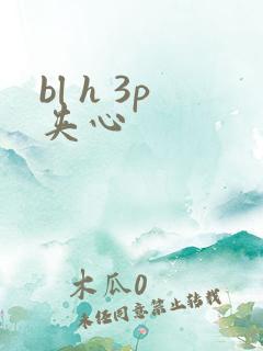 bl h 3p夹心