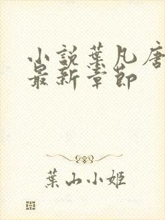 小说叶凡唐若雪最新章节