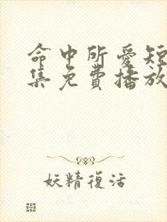 命中所爱短剧全集免费播放在线观看