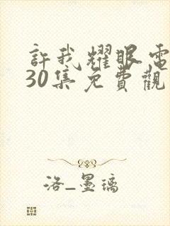 许我耀眼电视剧30集免费观看