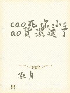 cao死你小sao货湿透了高h