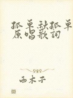 孤单秋孤单的人原唱歌词