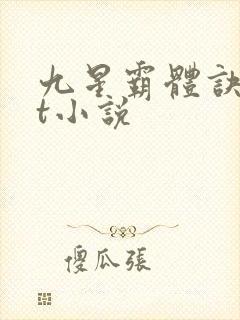 九星霸体诀txt小说