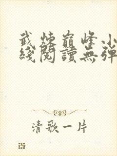 武炼巅峰小说在线阅读无弹窗