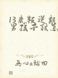 13岁叛逆期的男孩子该怎样去沟通教育