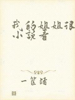 我的姐姐很弟控小说看