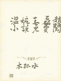 温婉王磊赵叔的小说免费阅读全文