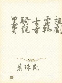 黑骑士电视剧免费观看韩剧网