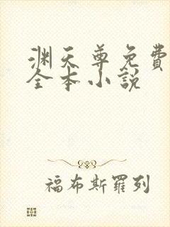 渊天尊免费阅读全本小说