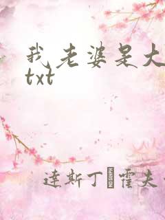 我老婆是大明星txt