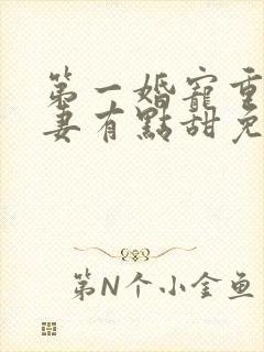 第一婚宠重生娇妻有点甜免费