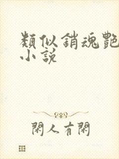 类似销魂艳婢的小说