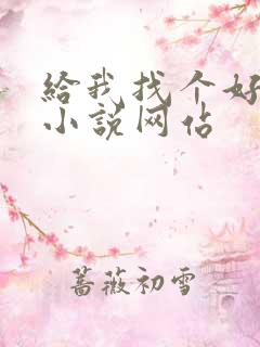 给我找个好看的小说网站